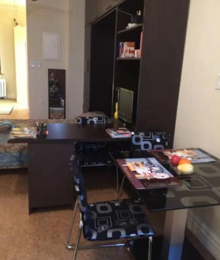 Spacious Bachelor Studio Apt Toronto Apartment